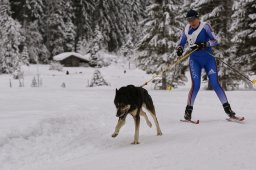 Kandersteg 2014 WM