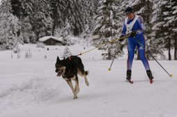 Kandersteg 2014 WM