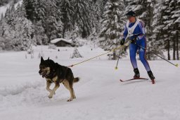 Kandersteg 2014 WM