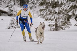 Kandersteg 2014 WM