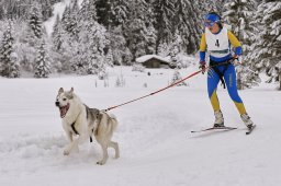 Kandersteg 2014 WM