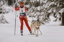 Kandersteg 2014 WM