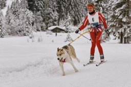 Kandersteg 2014 WM