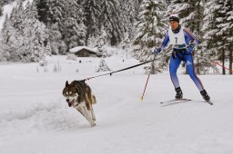 Kandersteg 2014 WM