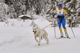 Kandersteg 2014 WM