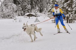 Kandersteg 2014 WM