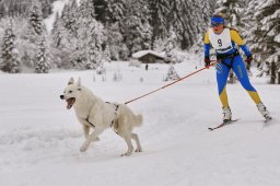 Kandersteg 2014 WM