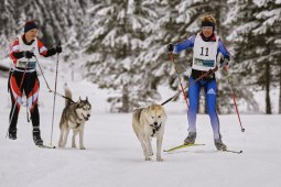 Kandersteg 2014 WM