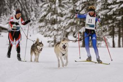 Kandersteg 2014 WM