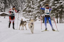 Kandersteg 2014 WM