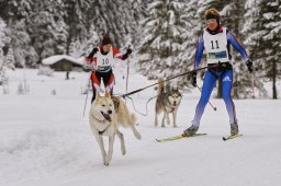 Kandersteg 2014 WM