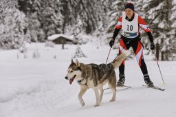 Kandersteg 2014 WM