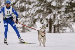 Kandersteg 2014 WM