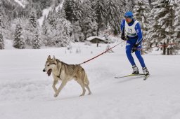 Kandersteg 2014 WM