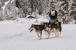 Kandersteg 2014 WM