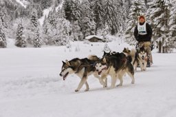 Kandersteg 2014 WM