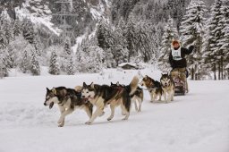 Kandersteg 2014 WM