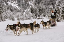 Kandersteg 2014 WM