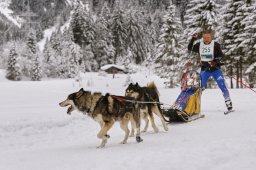 Kandersteg 2014 WM