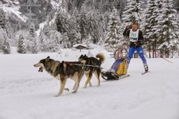 Kandersteg 2014 WM