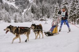 Kandersteg 2014 WM