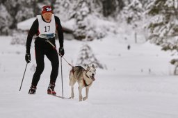 Kandersteg 2014 WM