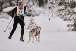 Kandersteg 2014 WM