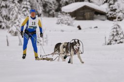 Kandersteg 2014 WM