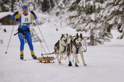 Kandersteg 2014 WM