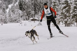 Kandersteg 2014 WM