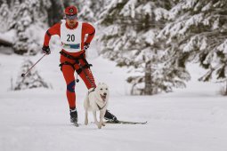 Kandersteg 2014 WM