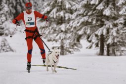 Kandersteg 2014 WM