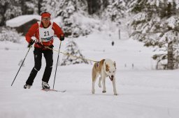 Kandersteg 2014 WM