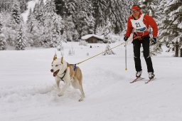 Kandersteg 2014 WM