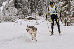 Kandersteg 2014 WM