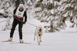 Kandersteg 2014 WM