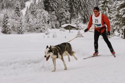 Kandersteg 2014 WM