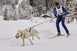 Kandersteg 2014 WM