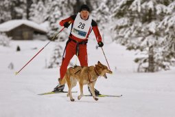 Kandersteg 2014 WM