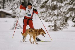 Kandersteg 2014 WM