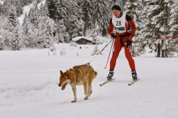 Kandersteg 2014 WM