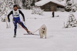 Kandersteg 2014 WM