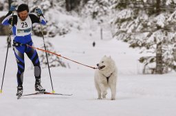 Kandersteg 2014 WM