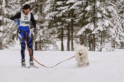 Kandersteg 2014 WM