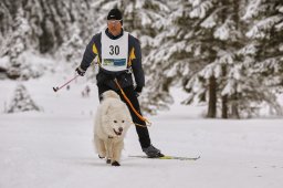 Kandersteg 2014 WM