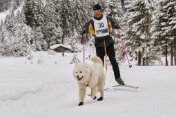 Kandersteg 2014 WM