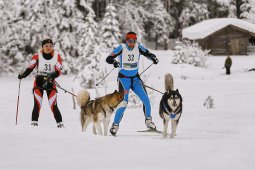 Kandersteg 2014 WM