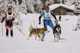 Kandersteg 2014 WM