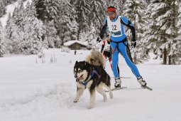 Kandersteg 2014 WM