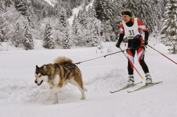 Kandersteg 2014 WM